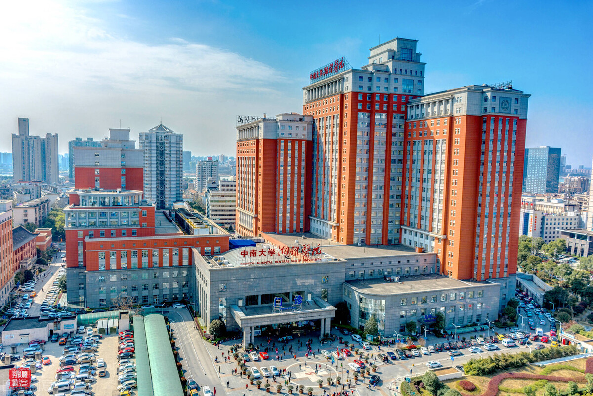 世界一流大学A类建设高校中南大学，2021年艺术类录取成绩分析