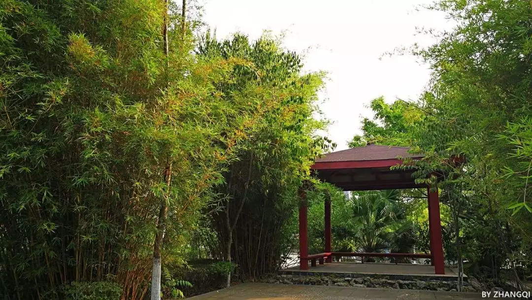 四川这所单招高校有百年历史,占地1000余亩