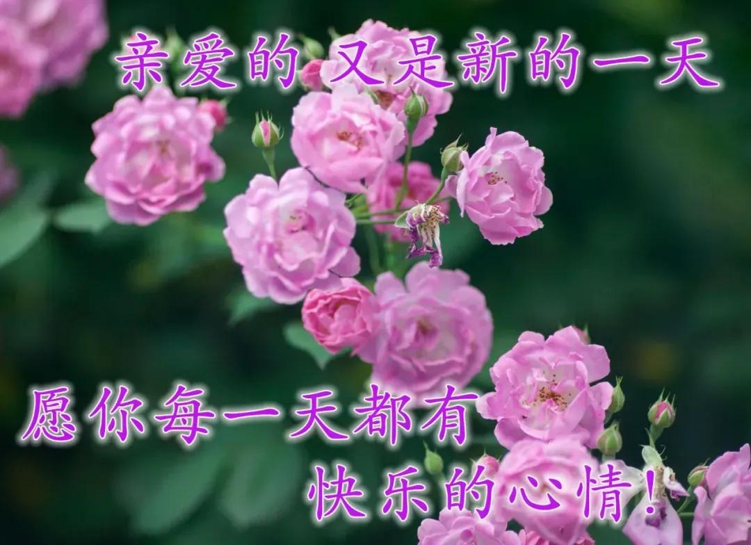 美女表情包：真正的绝望，是内心的迷茫