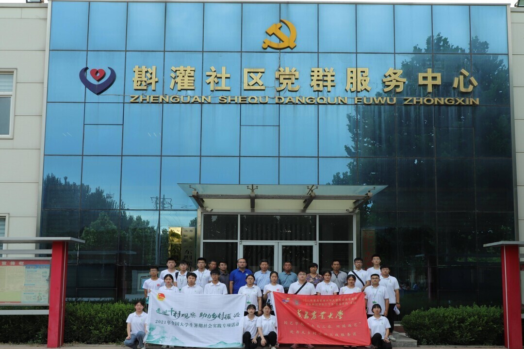 青农学子赴东斟灌村：入一线调研，领悟实践真知