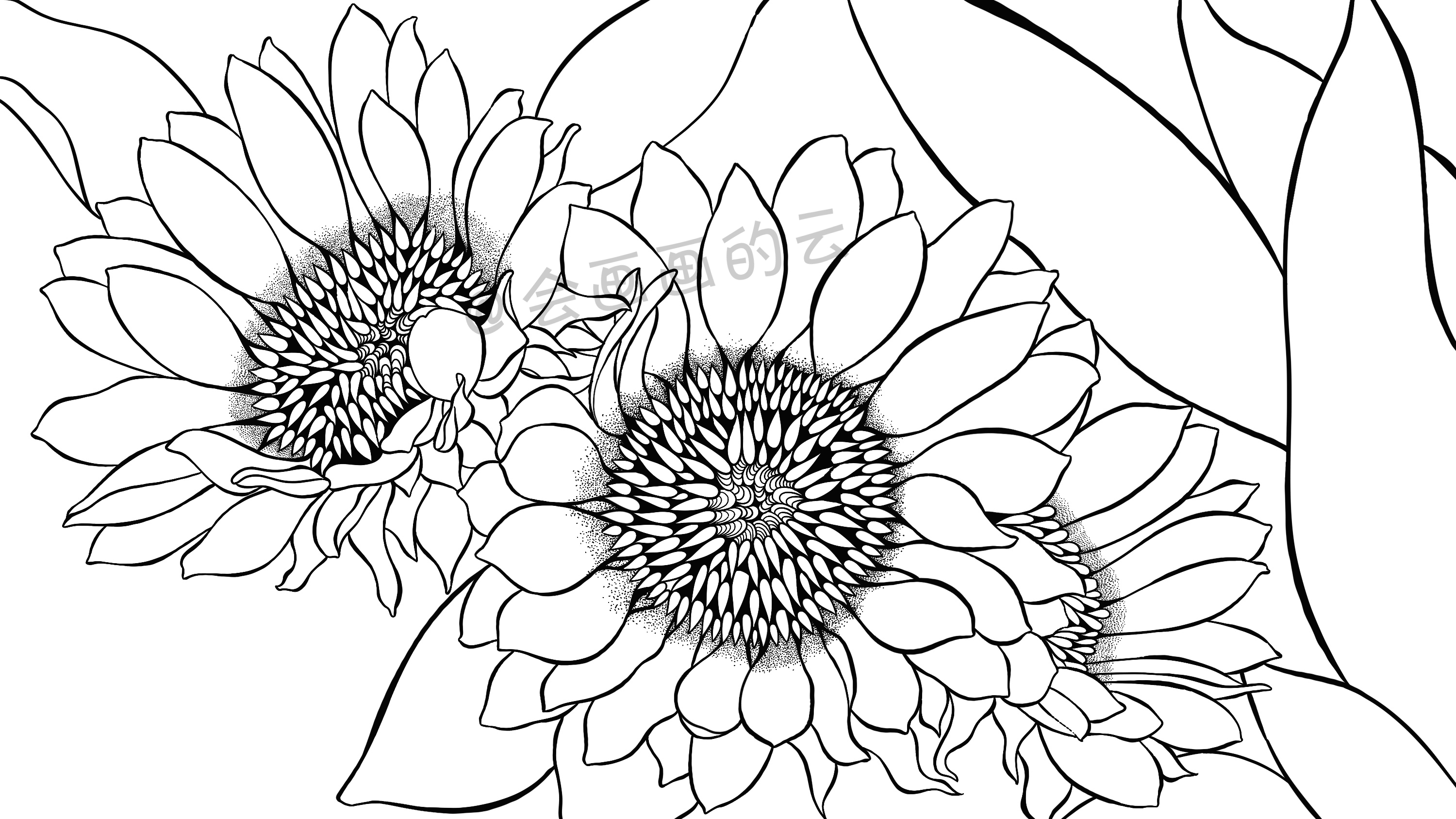 线条的魅力，线描插画过程图详细步骤讲解，教你如何零基础画画