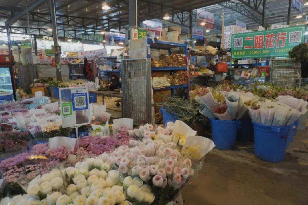 成都经典一日游：15个市内景点，地铁直达，全民撒欢玩