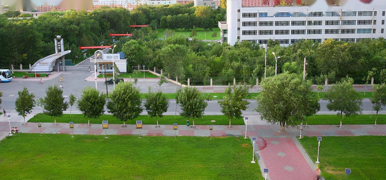 这10所专科师范大学，最适合低分生报考！关键是毕业以后好就业