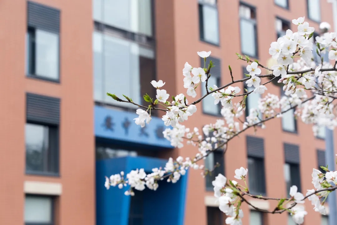 上新啦！6款浙大高颜值PPT模板送给你