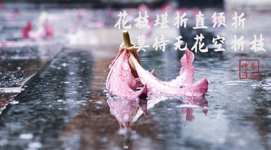 诗经中“剩女”的盼嫁之路