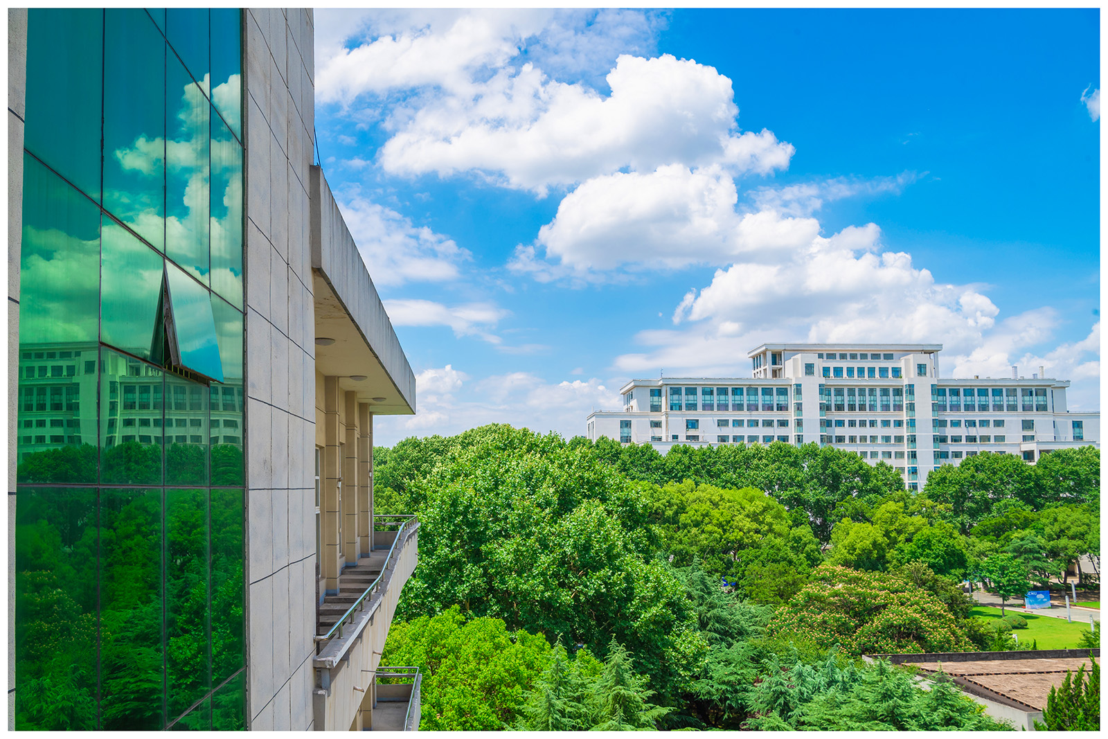 艺术类录取政策解读！华中师范大学2021年艺术类录取成绩分析