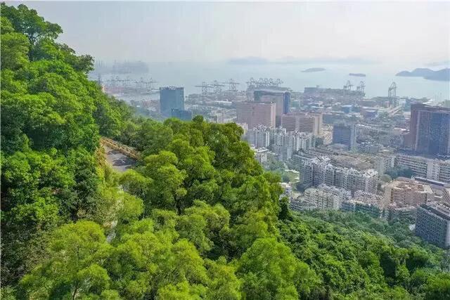 深圳十大免费少人知可以观海的公园