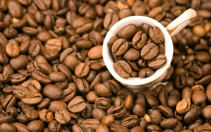金莎喝咖啡导致细菌感染，那如何喝好咖啡？