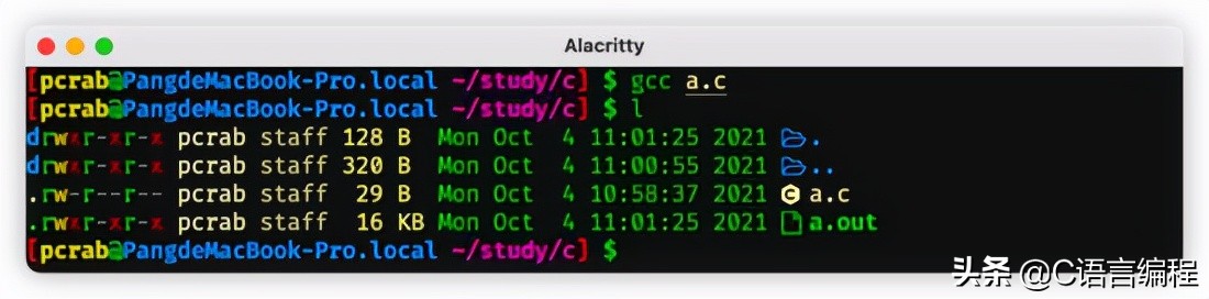 计算机专业：老师也许会跳过的 C 语言基础知识，赶紧补上一课