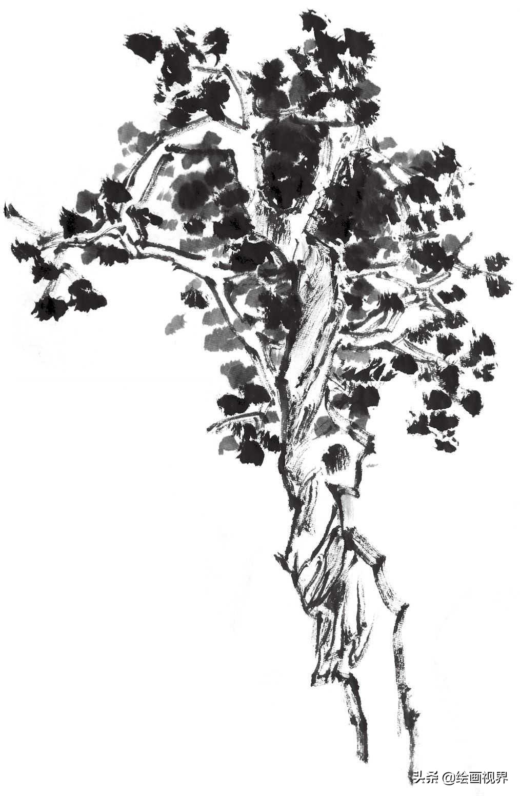 画国画树不会画？教你常见树的画法，简单易学，收藏起来临摹学习