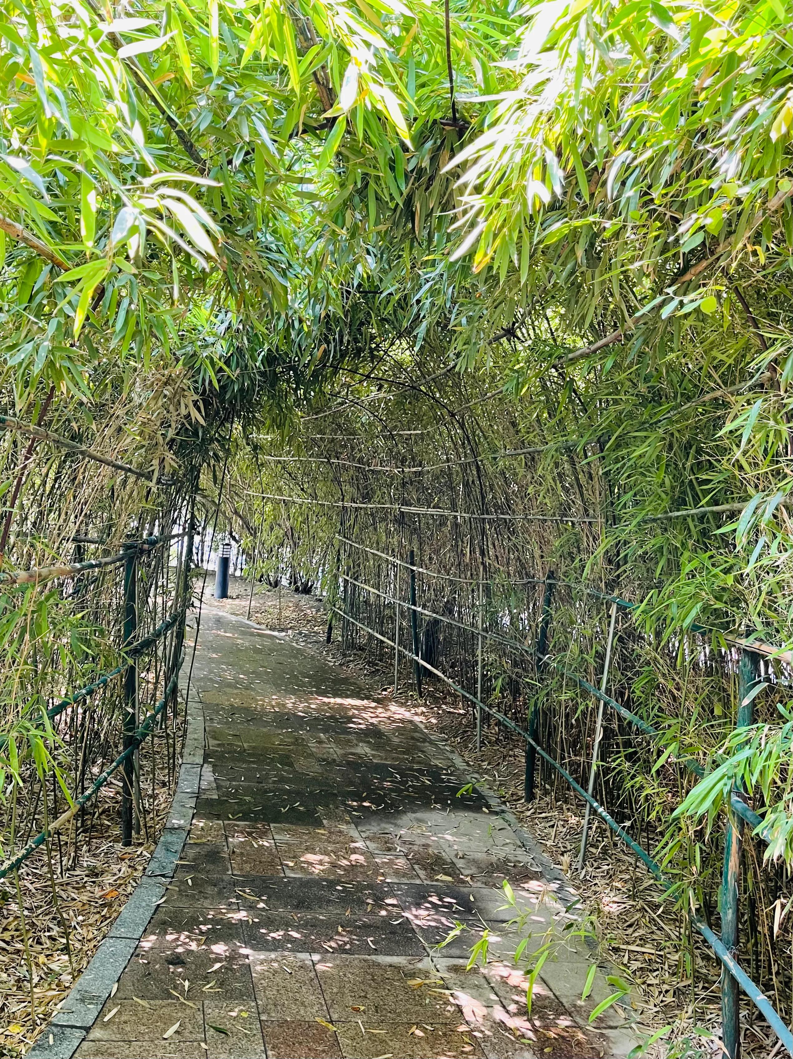 河北师大—惠泉