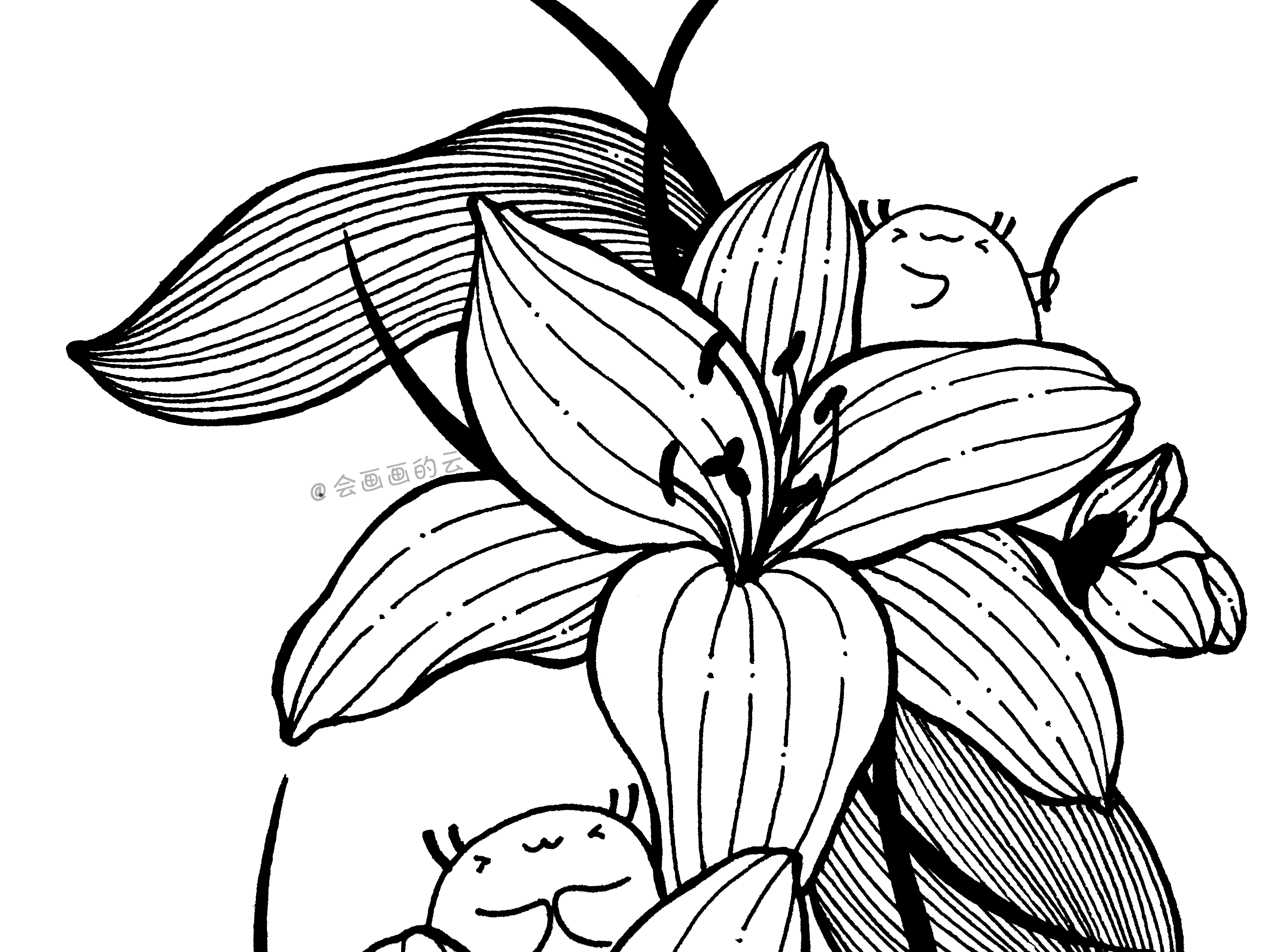 怎样画画又简单又好看(13步教你如何画好看简笔画)