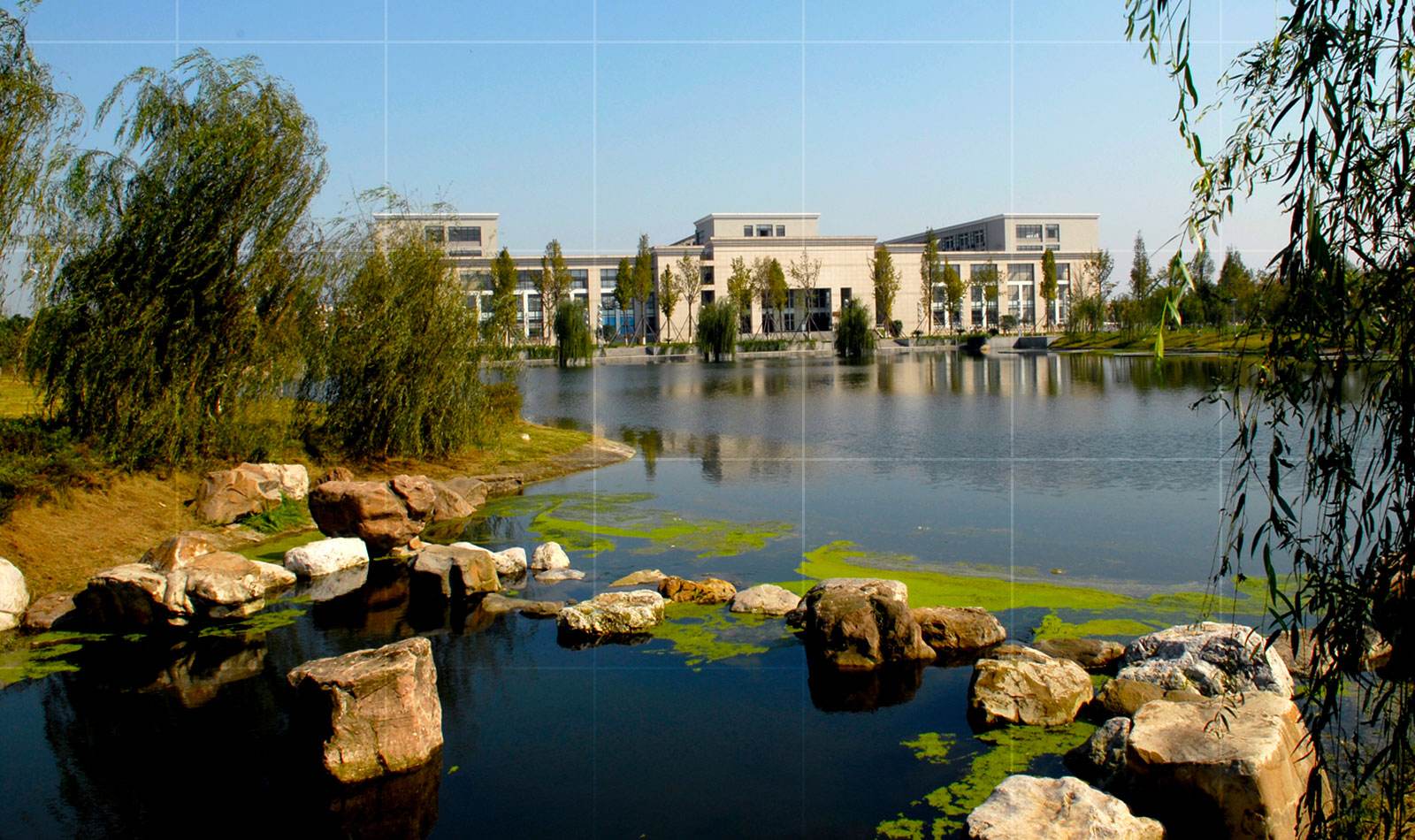 西南财经大学的统计专业本科毕业就业前景怎么样？