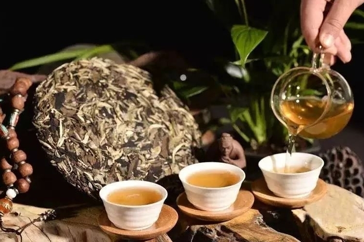 云南土著茶品种大全，看看你喝的是什么茶？