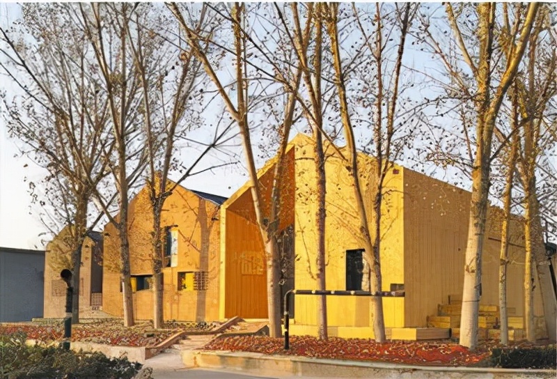 王毅外长肯定！问鼎世界冠军！今年，这所985已创造7项中国和世界第一！