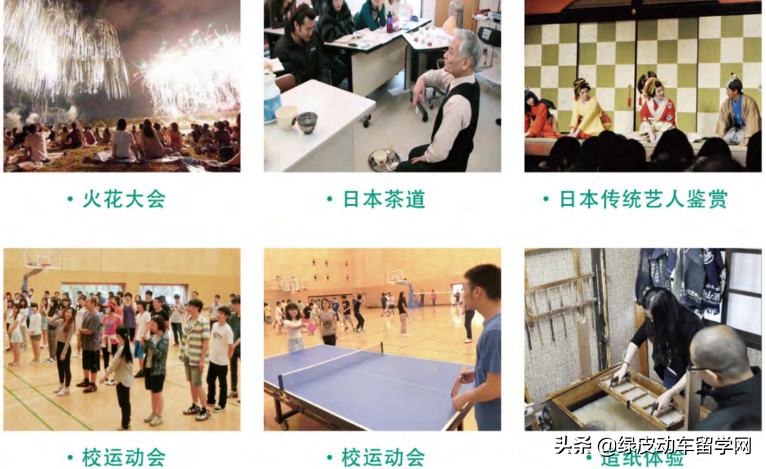 日本语言学校评测——被忽略的宝藏，太阳树日本语学校