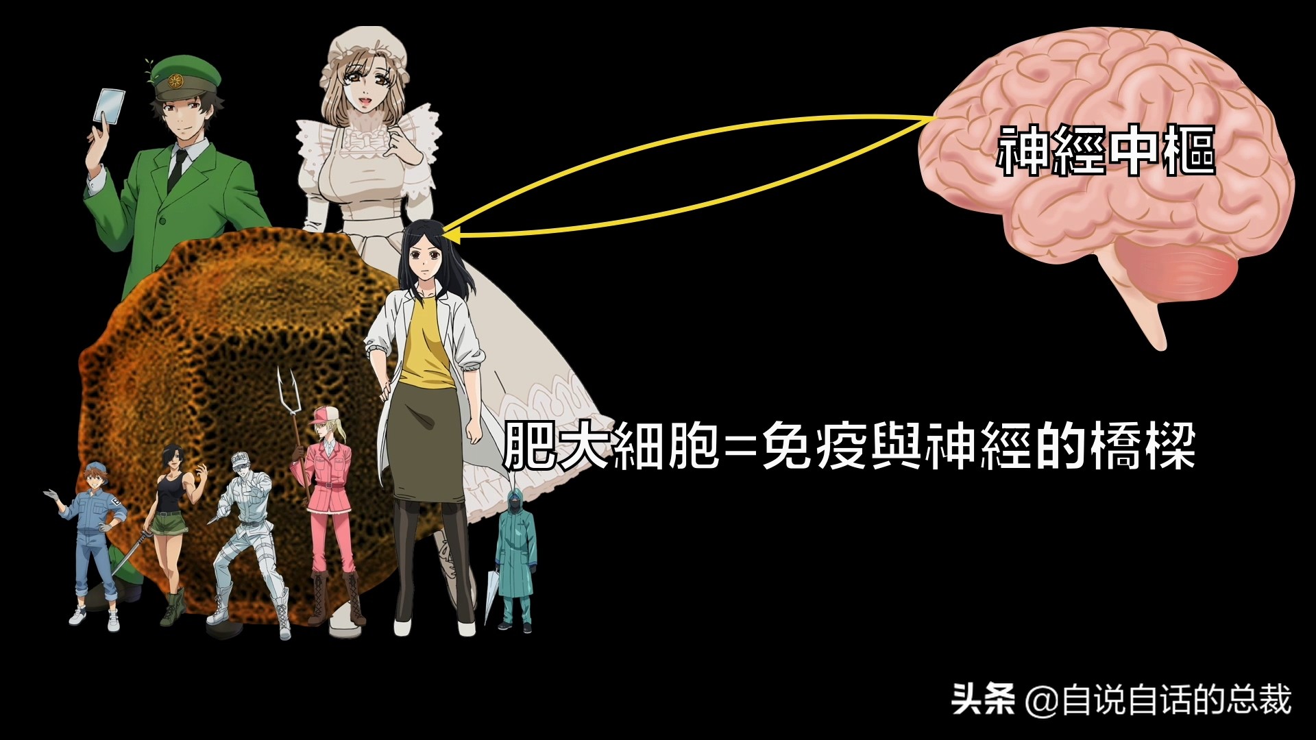 当你爆发过敏性鼻炎时，这就是你体内发生的故事