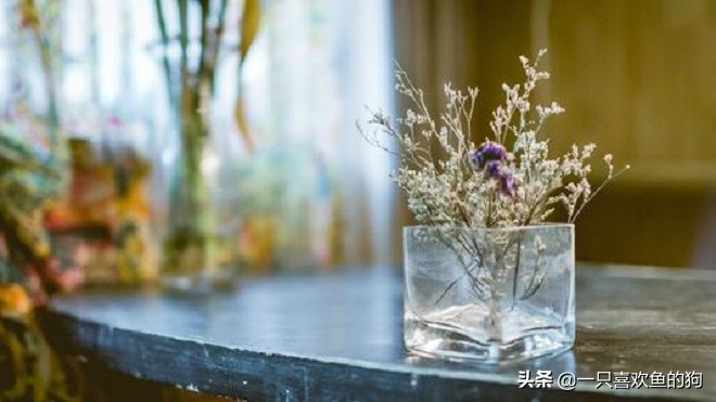 我，一个念旧的人，活的就像个拾荒者