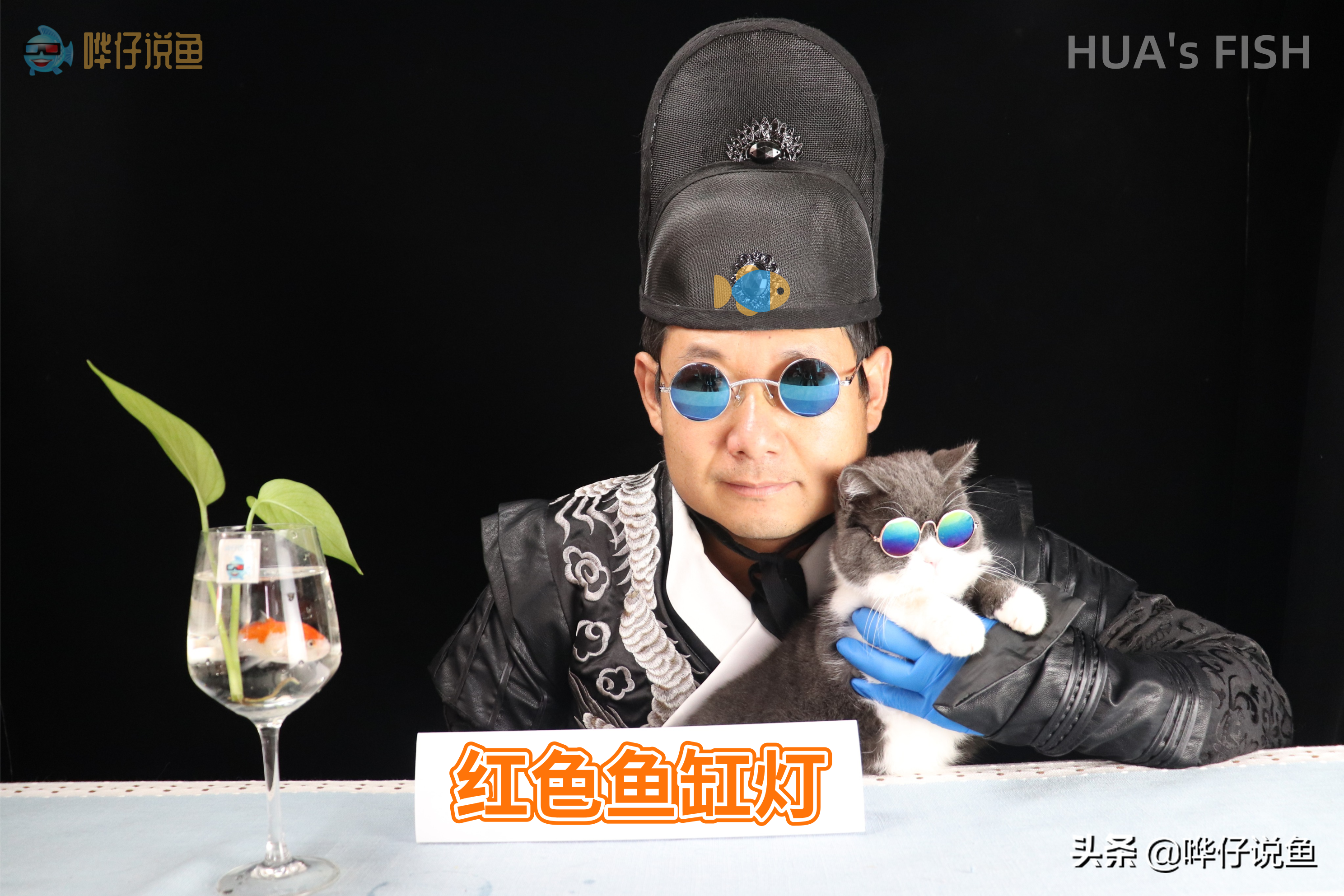 鱼缸品牌有：圣迪克、雅罗、古玉、星辉、金龙等。