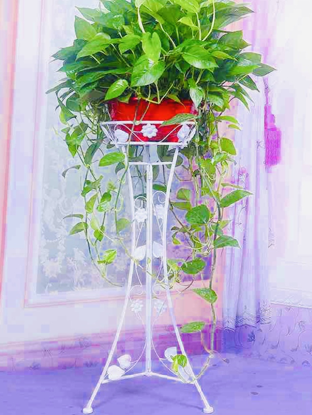 绿萝造型创意图片(普通绿箩巧妙构思造型) - 赤虎壹号