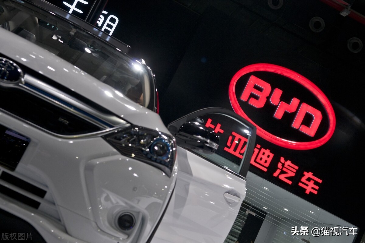 一猫汽车：畅享比亚迪全球品质，智领未来出行新体验