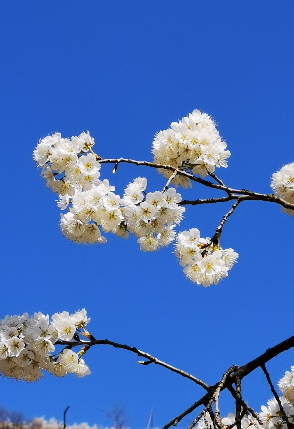 春季是一年伊始，抓住养生好时节，身体更棒