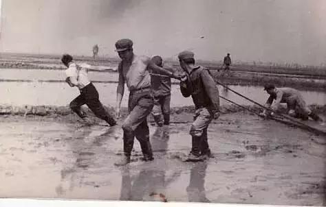 1983年红旗沟惨案，农场知青为何沦为杀人恶魔，一夜屠戮27人