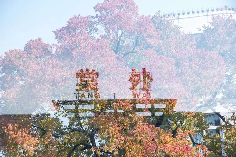 西川、双中实验、盐外…成都小升初11所高性价比私立学校，太值了