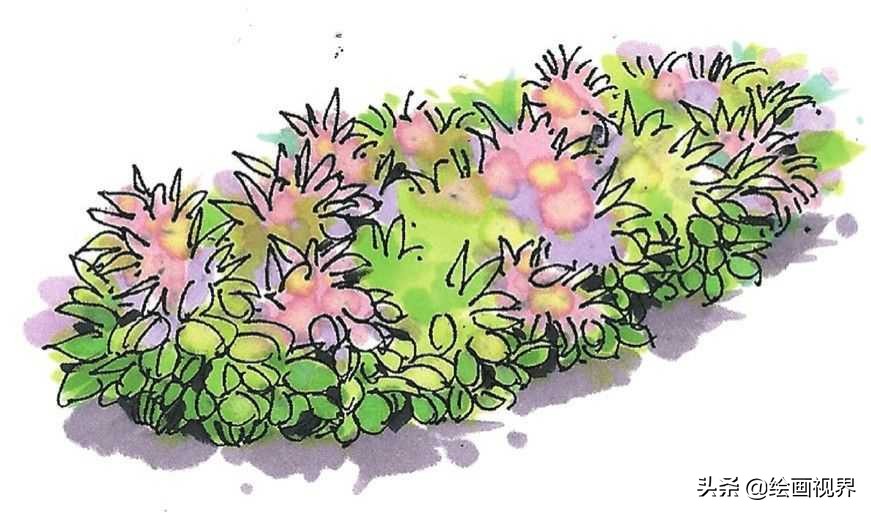 零基础马克笔画植物教程 学会这些,风景画基本没有大问题