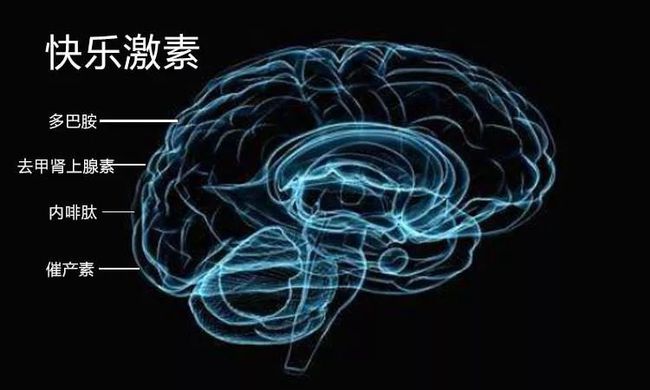 清华爸爸另眼看孩子军训的意义：人为什么要走出舒适圈？