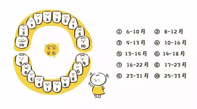 关于宝宝长牙的6大问题，很多爸爸妈妈不知道，早知早好