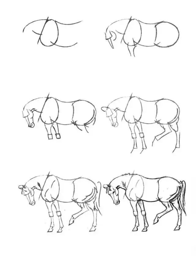 马的简笔画(简笔画教程,50个马的画法!