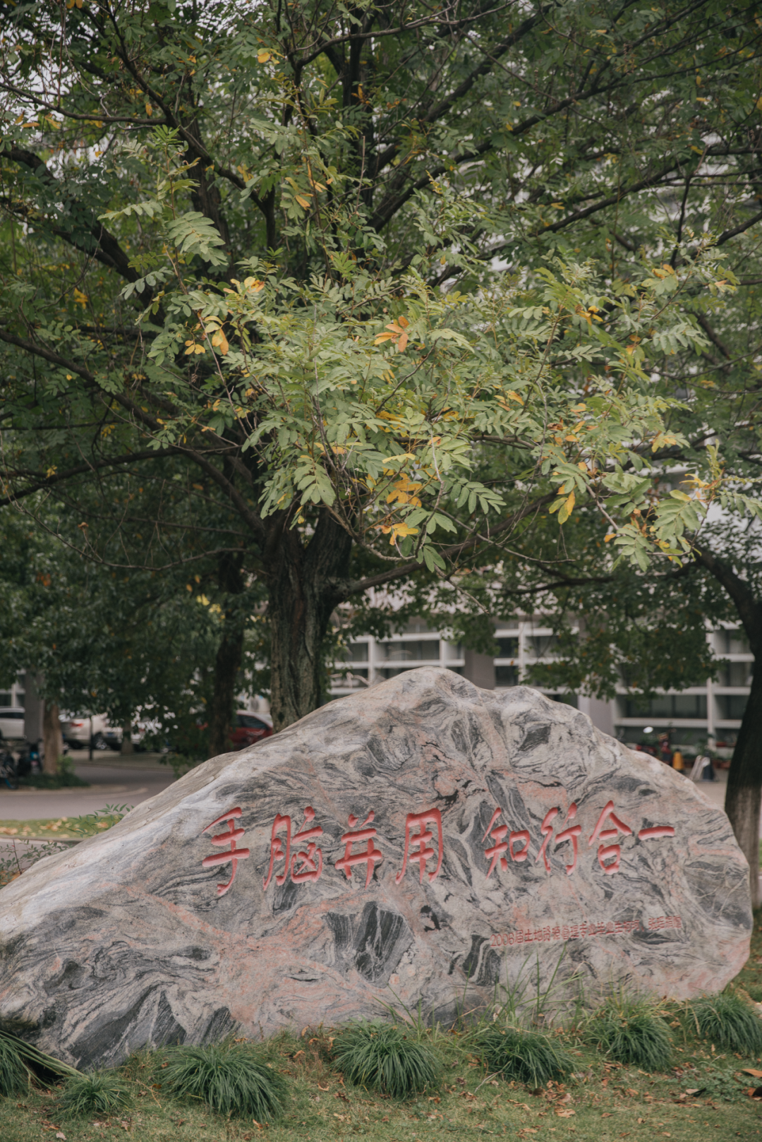又是全国第一！华中农业大学，全体武汉人的骄傲