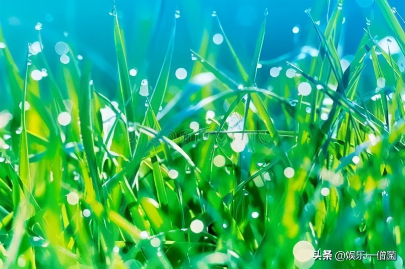 近两月985/211大学自杀事件被曝17起，大学教育需重视