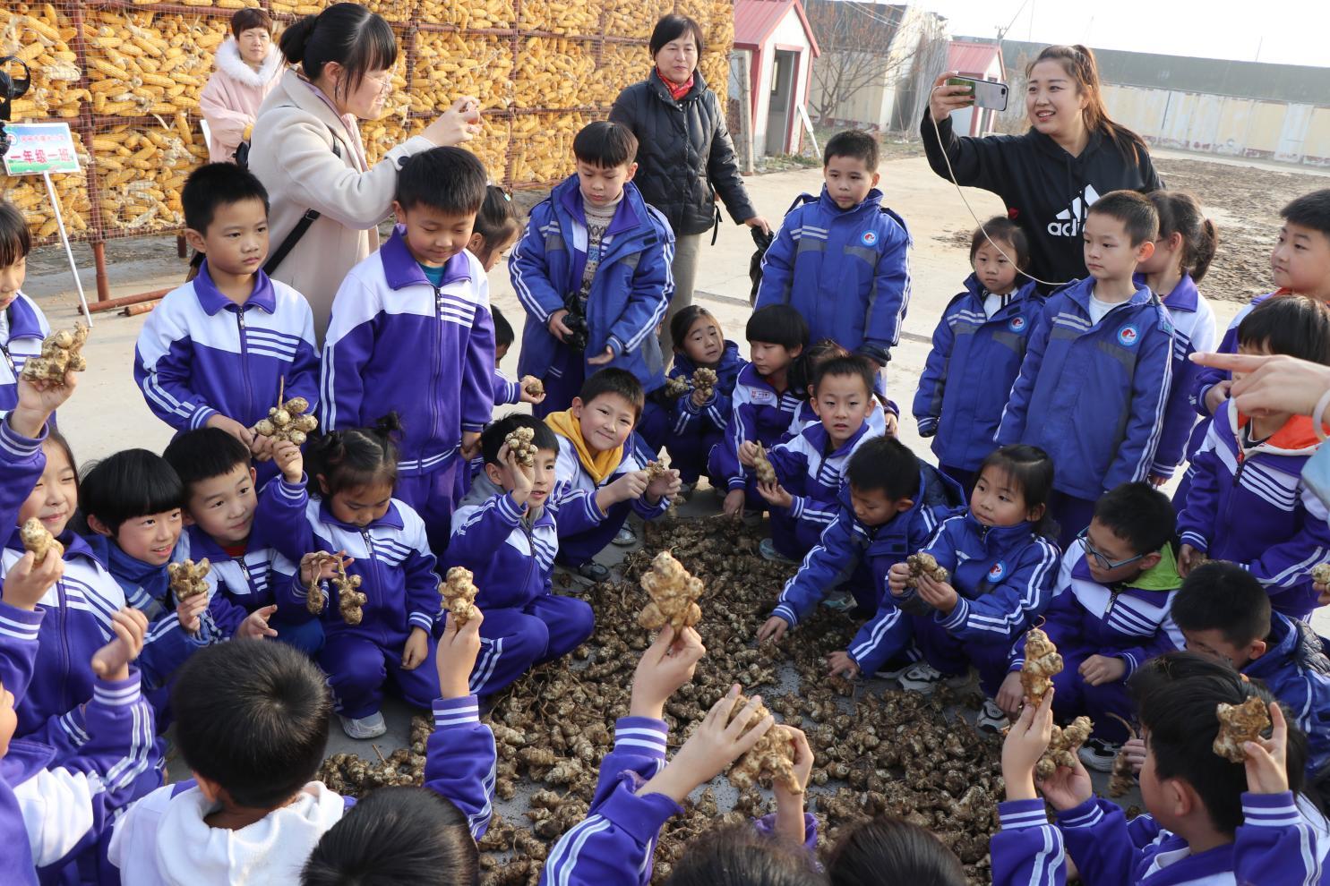 河间市曙光小学：劳动教育实践基地体悟(图4)