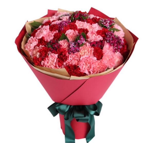 母亲节送几朵康乃馨 19/29/33朵最佳(价格适中寓意好)