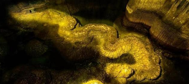 真龙壮丽香烟价格湖南一山洞发现