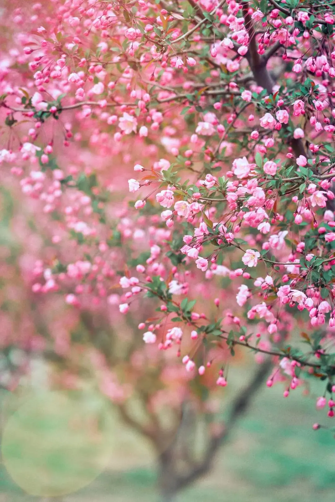 天津大学，为什么是中国最有“侠气”的大学？