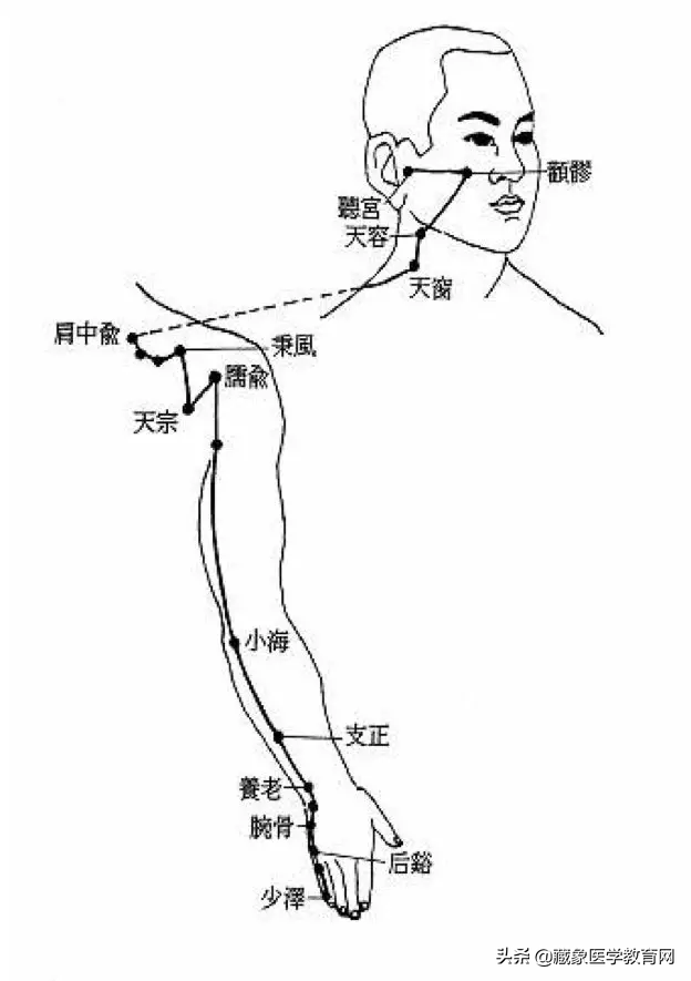 你了解经脉吗？十二经脉的位置、走向规律、交接规律及分布规律