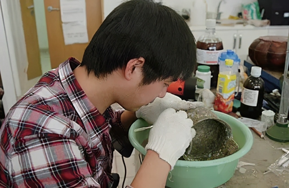 堪舆倒斗觅星峰│「文物与博物馆」专业院校录取、分数线解析