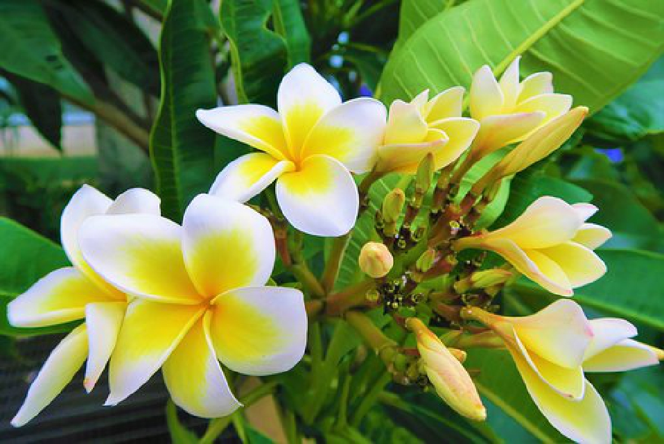 醒悟人生的经典说说，句句有内涵，中肯实用