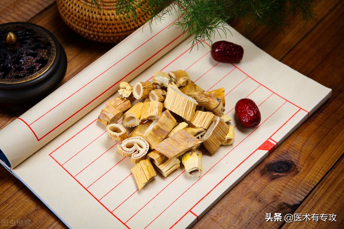 每天认识一味中药～芦根
