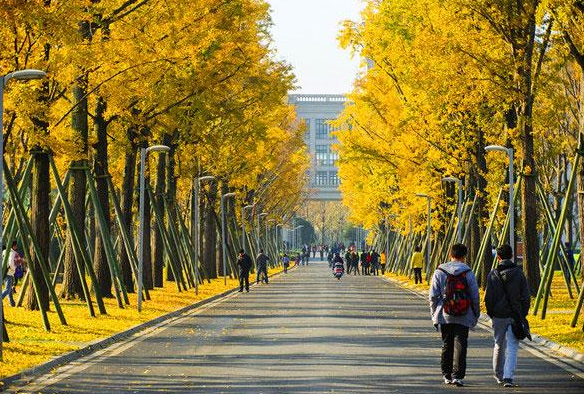 全国面积最大的大学（我国5所）