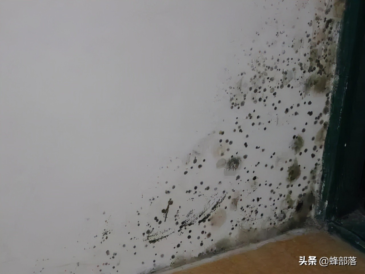 农村自建房墙体为啥会起皮掉落？如何避免和解决，2个解决方法