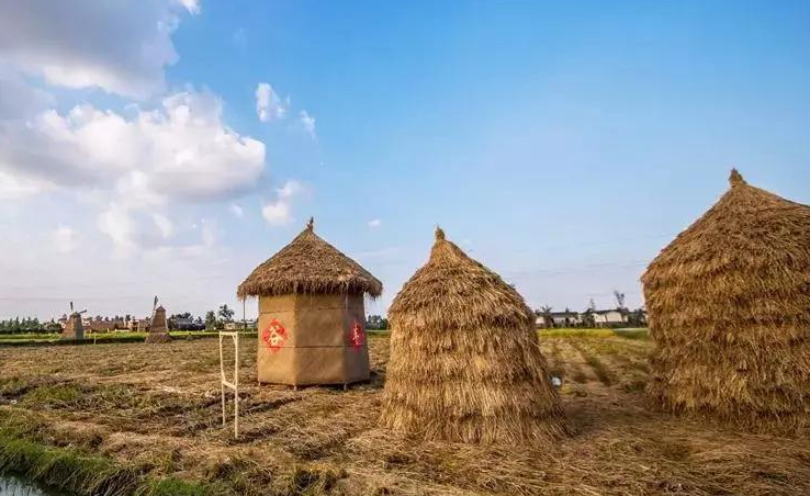 人们常说的：四体不勤，五谷不分，意思是骂人还是夸人呢？