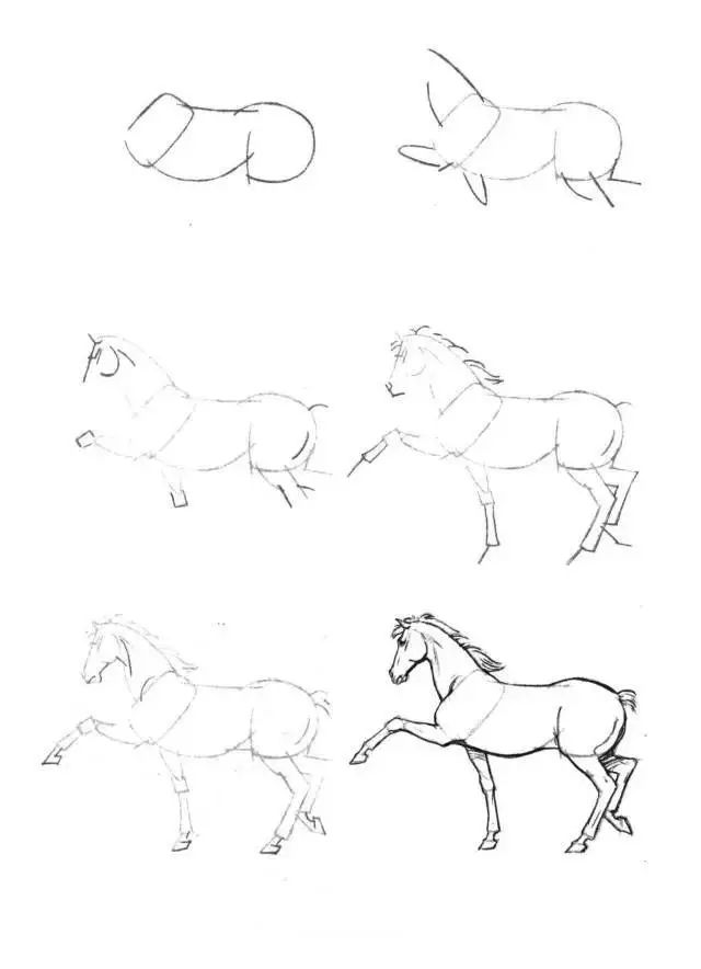 马的简笔画(简笔画教程,50个马的画法!
