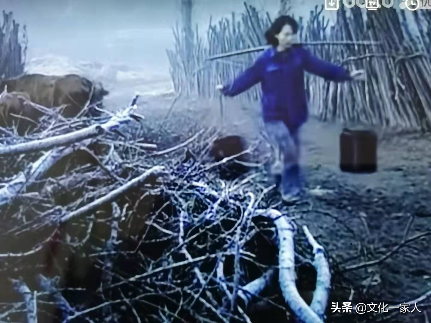 七嫂——世上最美的女人
