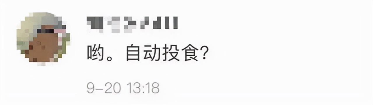 动物园老虎咬人,北京野生动物园老虎咬人