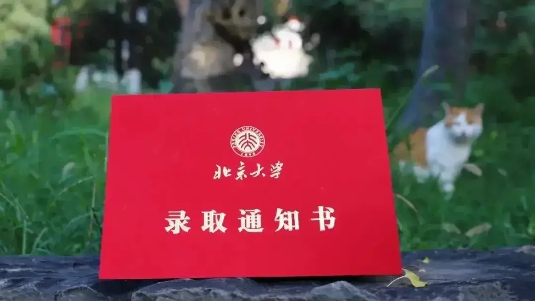 2020年祁阳县高考成绩汇总（更新）