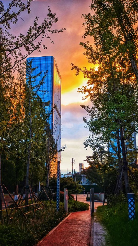 婚姻在3种情况下一定要离婚